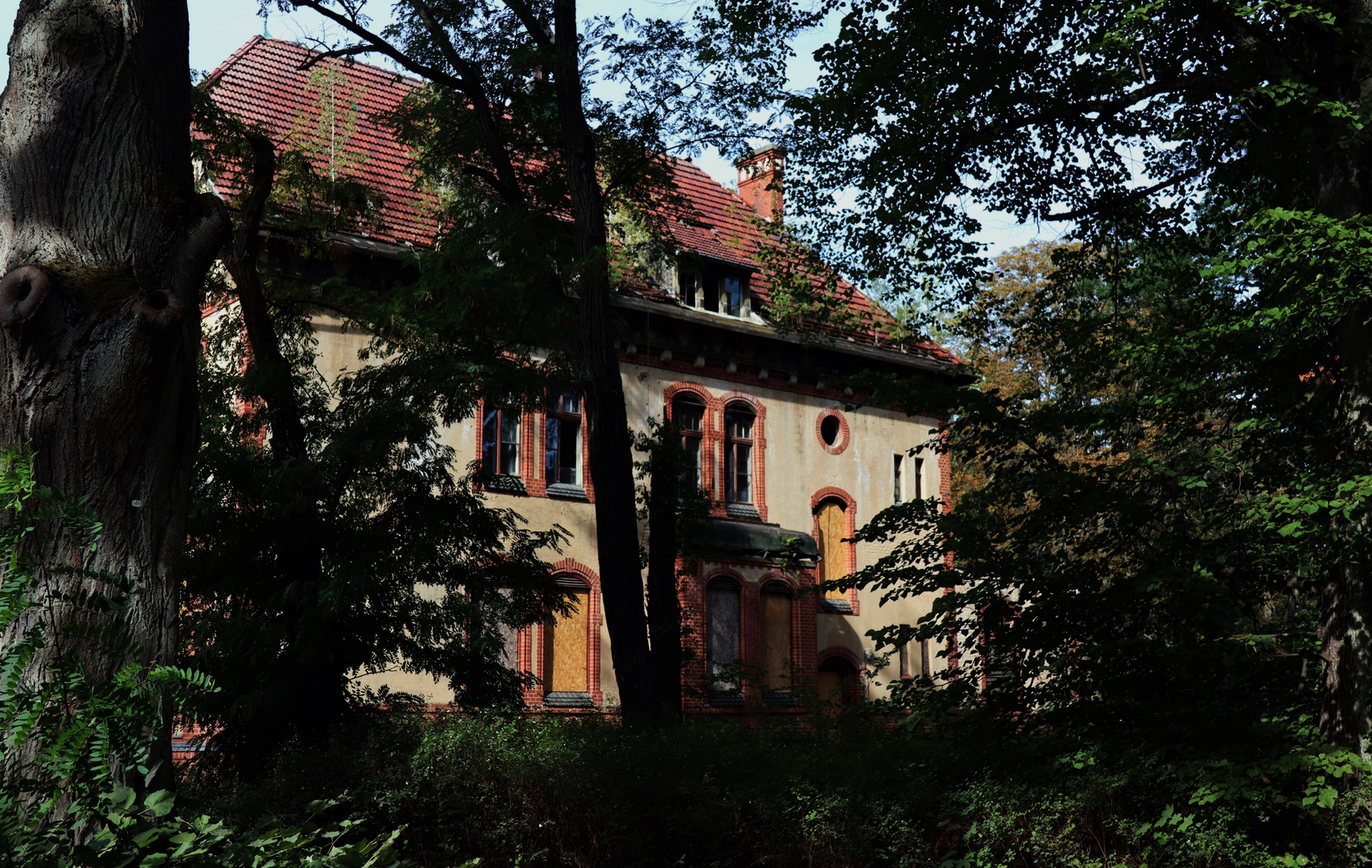 Haus im Wald