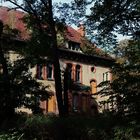 Haus im Wald