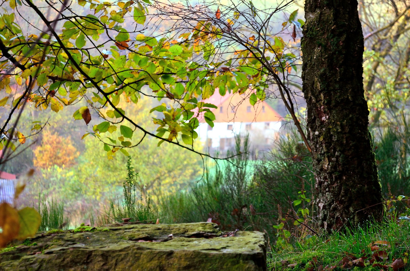 Haus im Wald