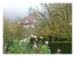  Haus im Wald 