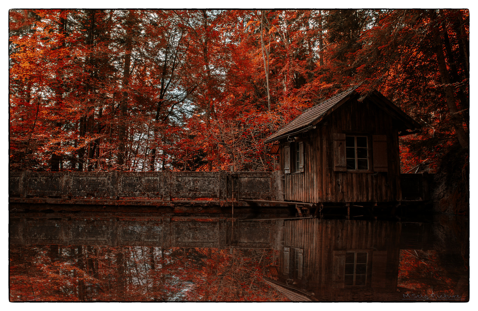 Haus im Wald