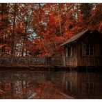 Haus im Wald