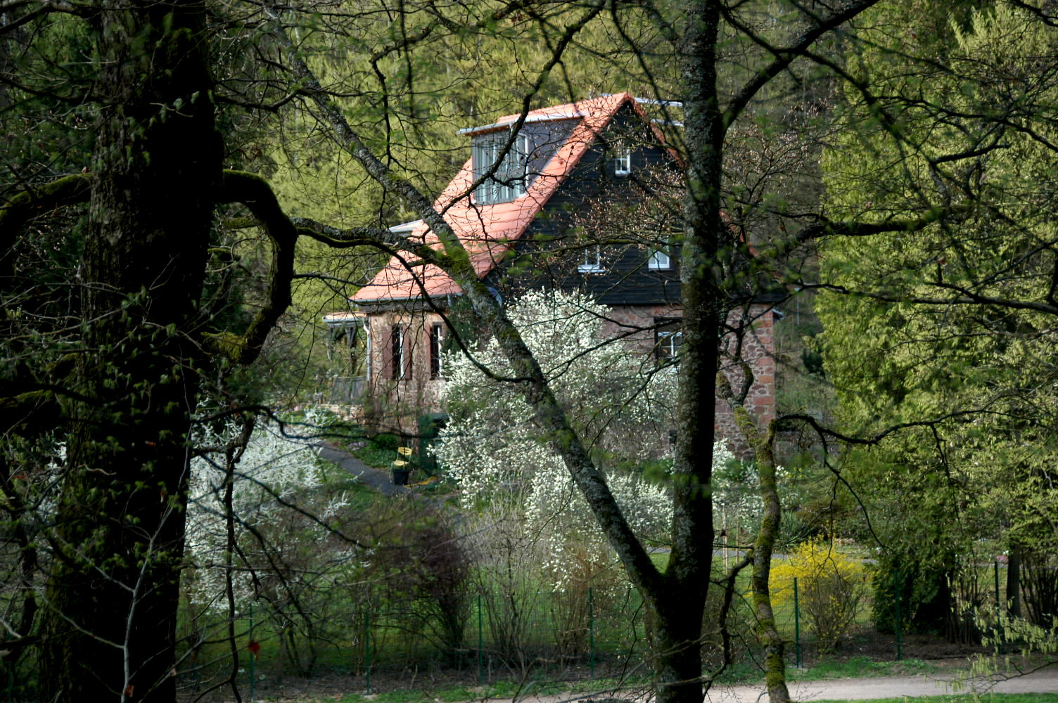 Haus im Wald