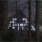 Haus im Wald