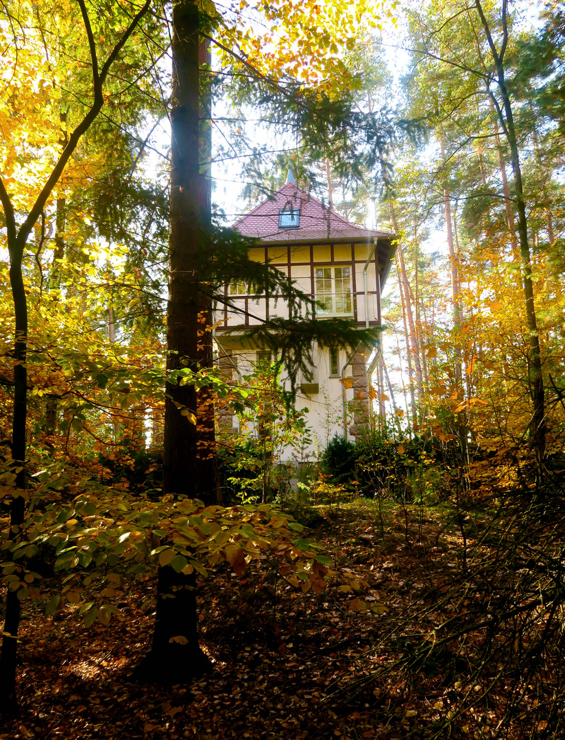 Haus im Wald ;)