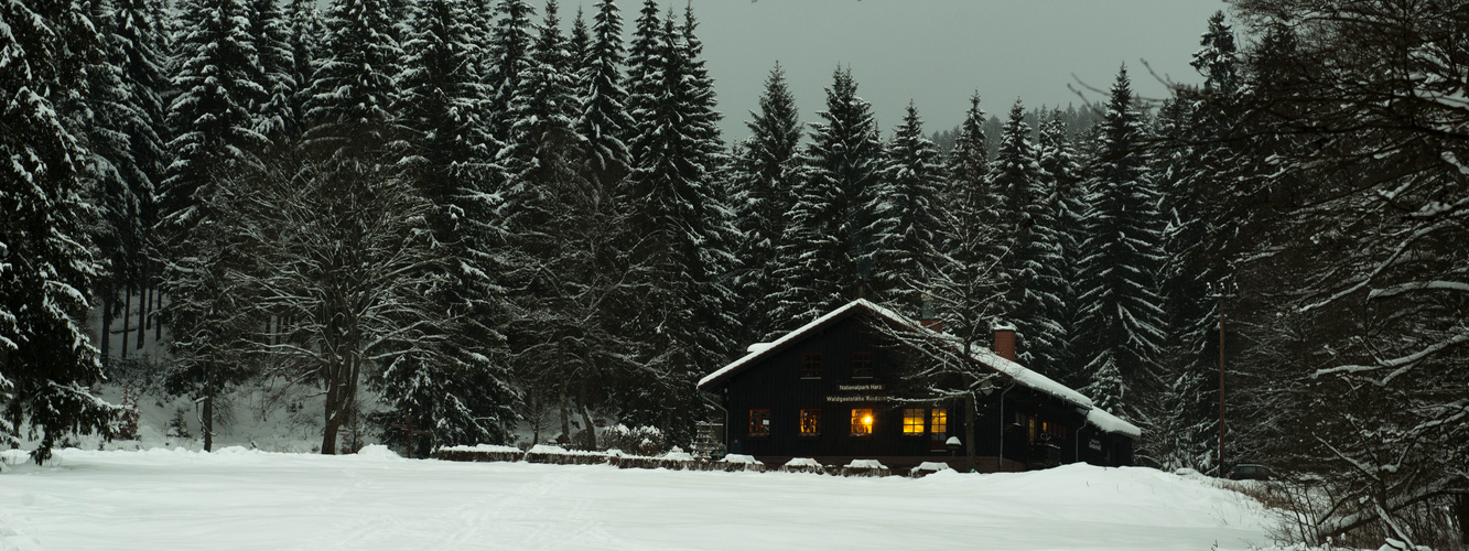 Haus im Wald