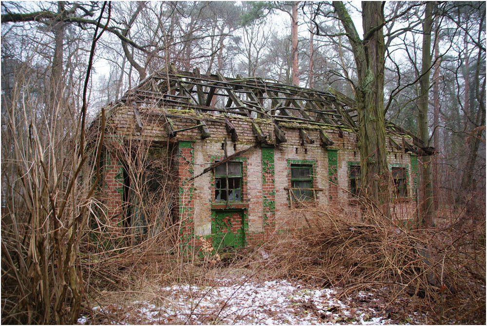 Haus im Wald