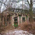 Haus im Wald