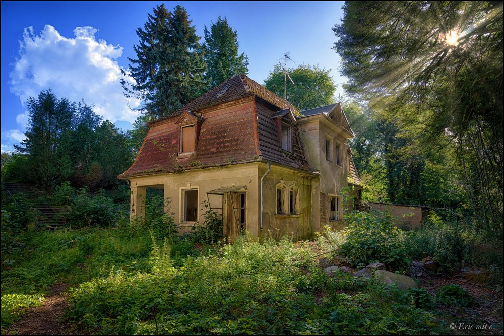 Haus im Wald II