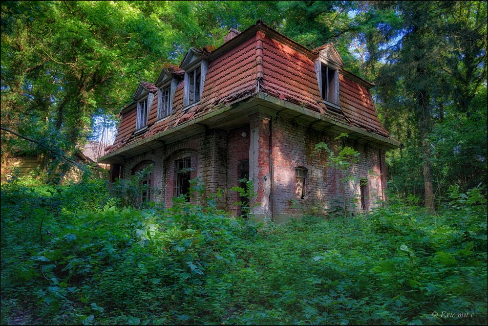 Haus im Wald III