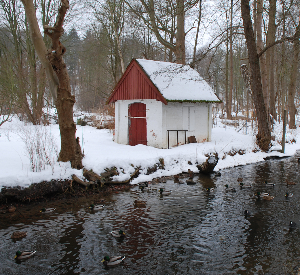 Haus im Wald- immer noch auf den Frühling wartend