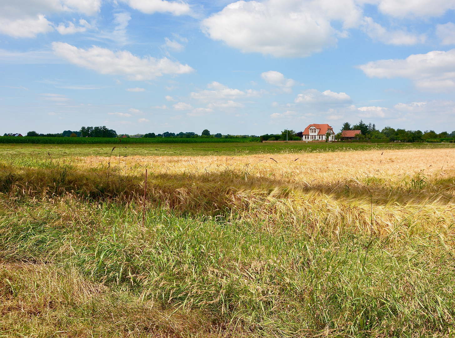 Haus in Alleinlage mit schönem Wolkenhimmel zu verkaufen