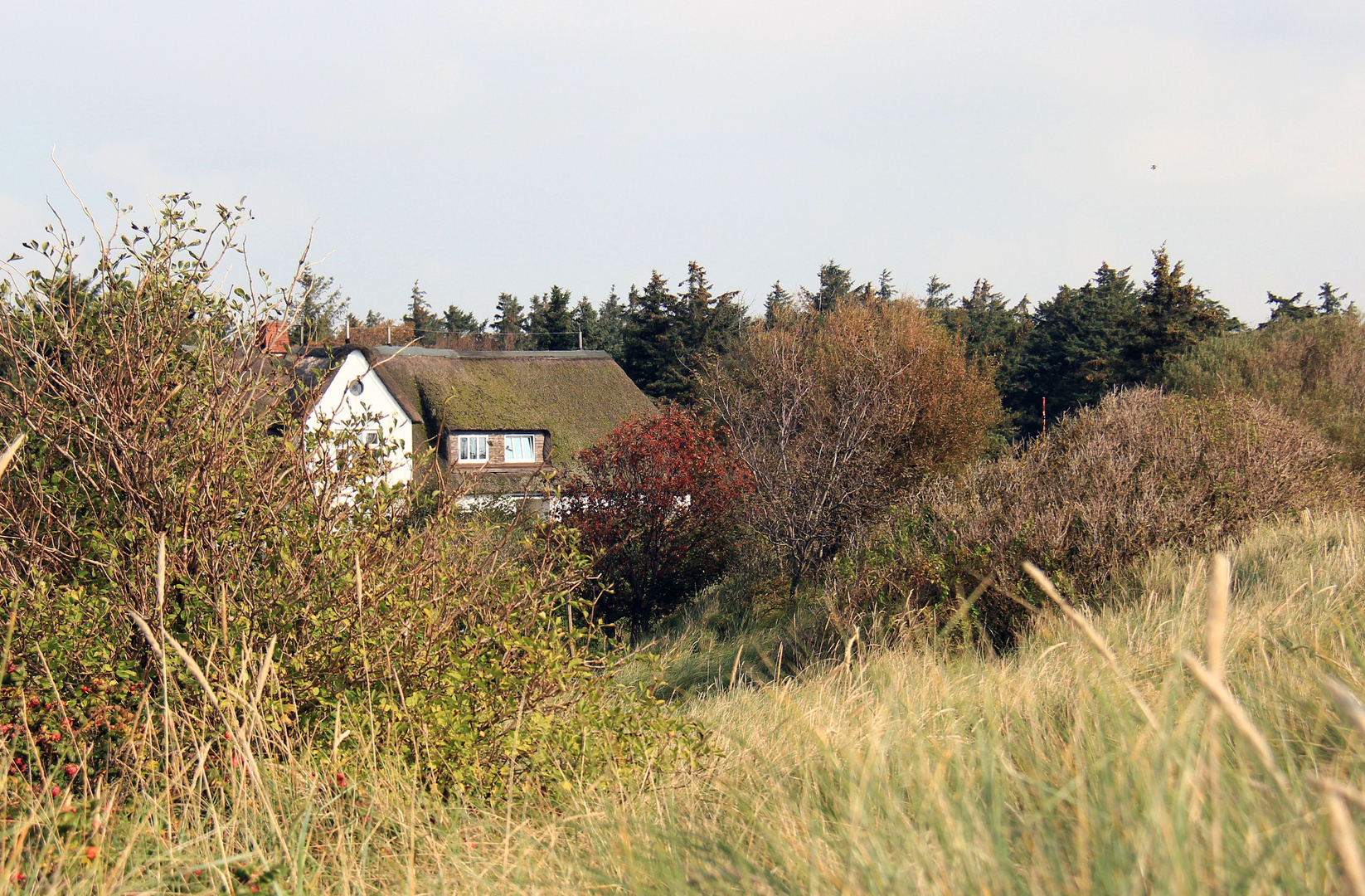 Haus in den Dünen.