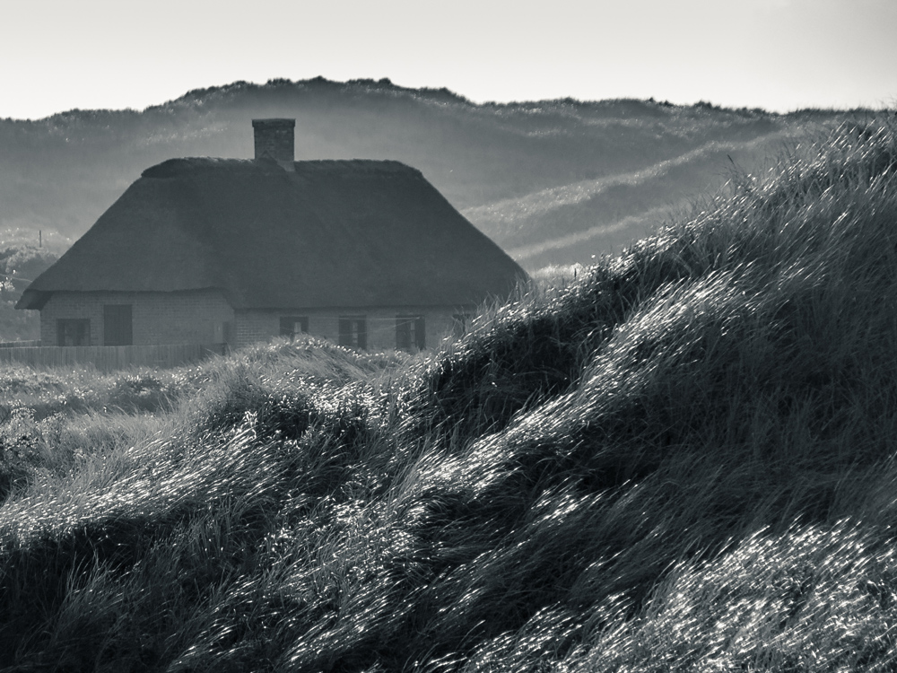 Haus in den Dünen Foto & Bild | europe, scandinavia ...