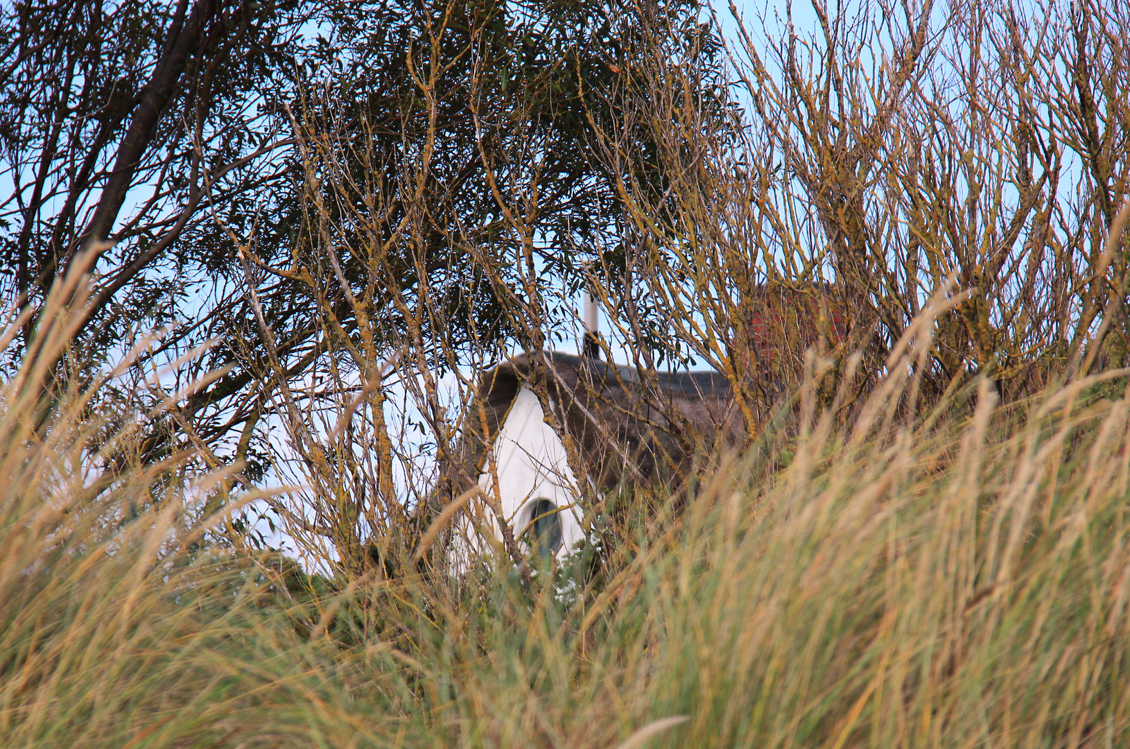 Haus in den Dünen