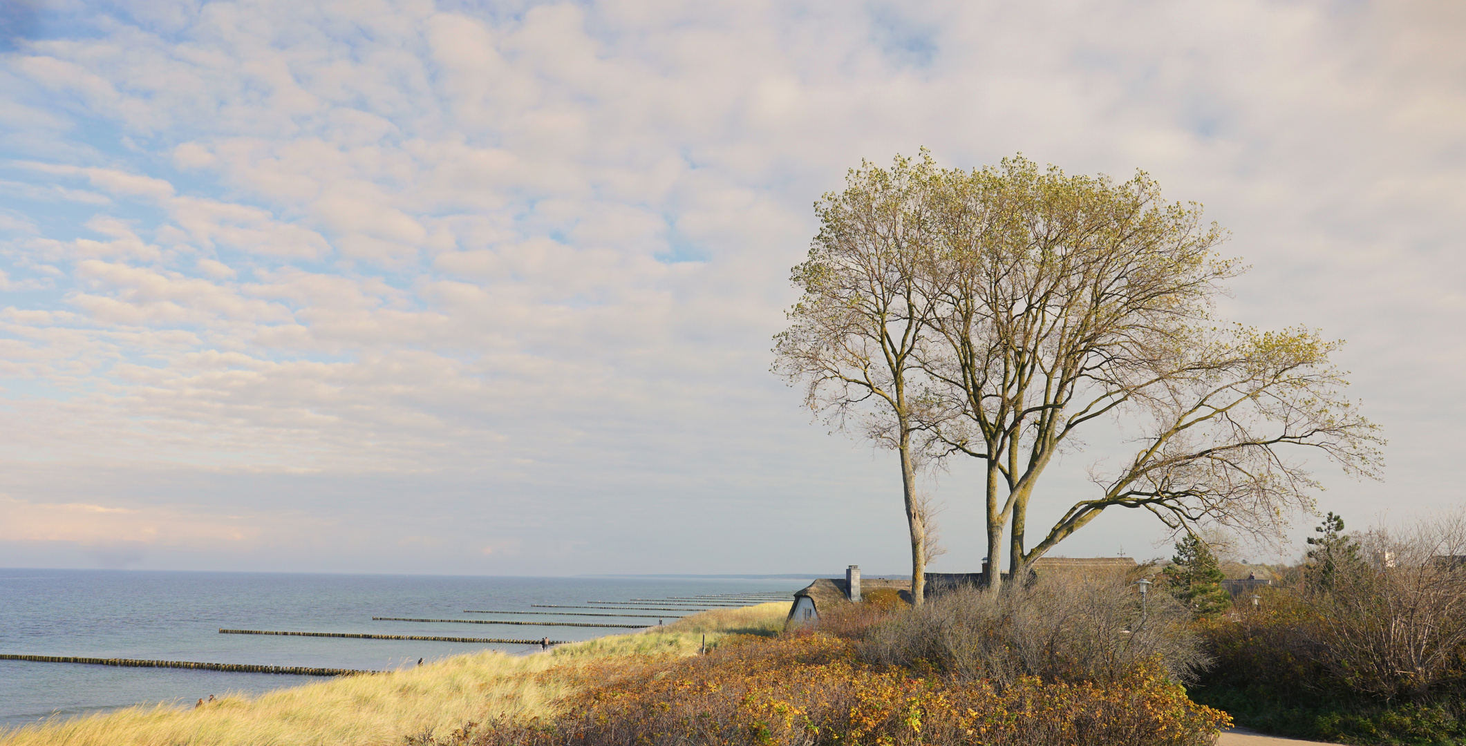 Haus in den Dünen, Ahrenshoop