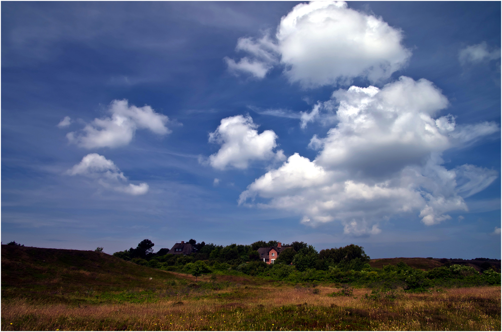 Haus in der Braderuper Heide