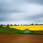 Haus in der Natur