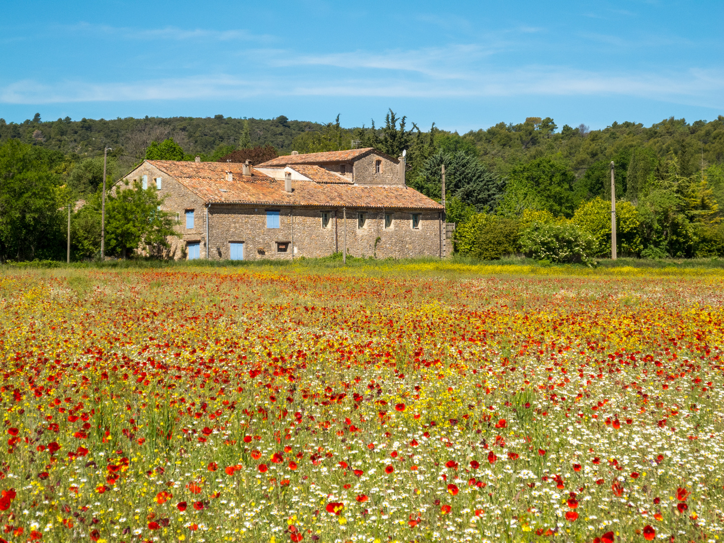 Haus in der Provence mit buntem Feld