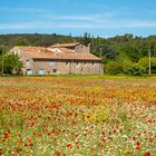 Haus in der Provence mit buntem Feld