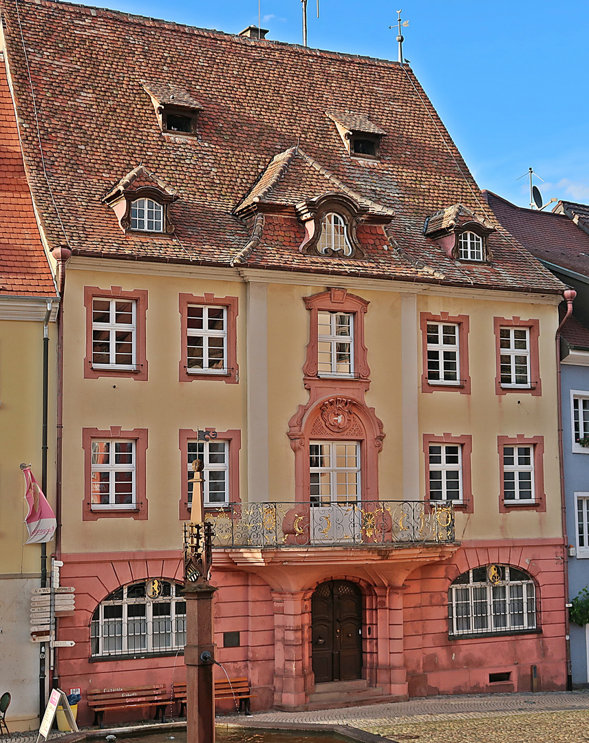 Haus in Endingen a. Kaiserstuhl