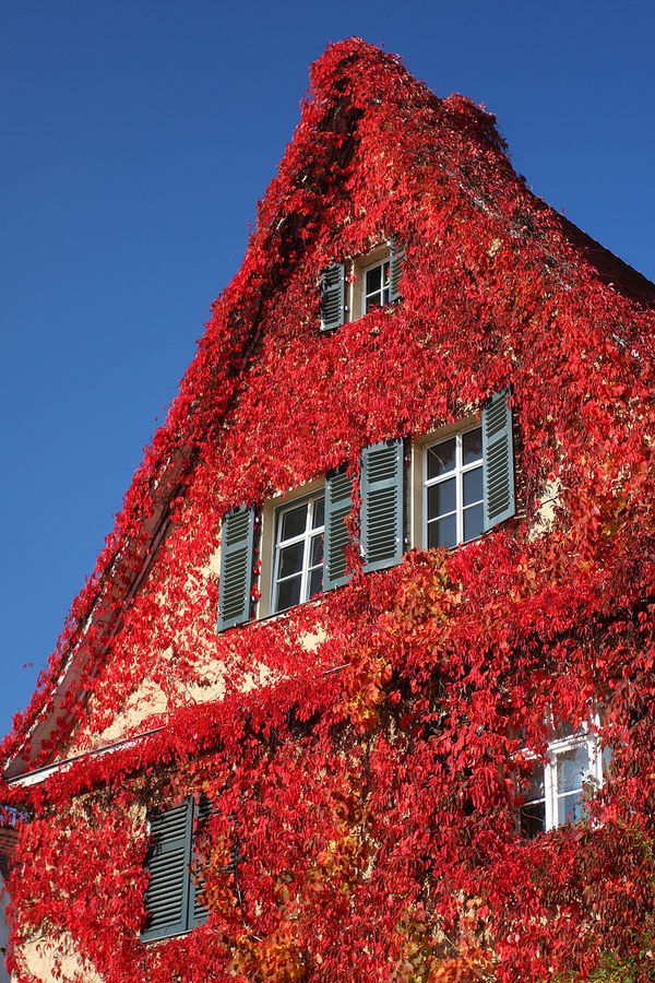 Haus in Flammen