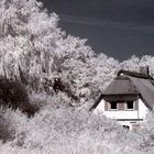 Haus in IR