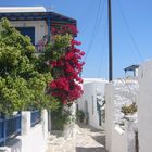 Haus in Levkes / Paros