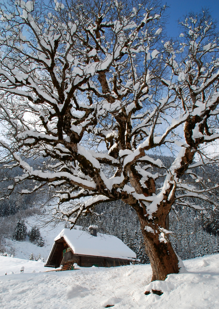 Haus in Untertal