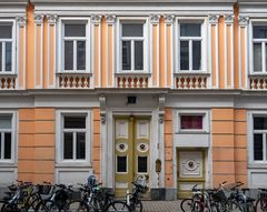 haus in veganer lachsfarbe...