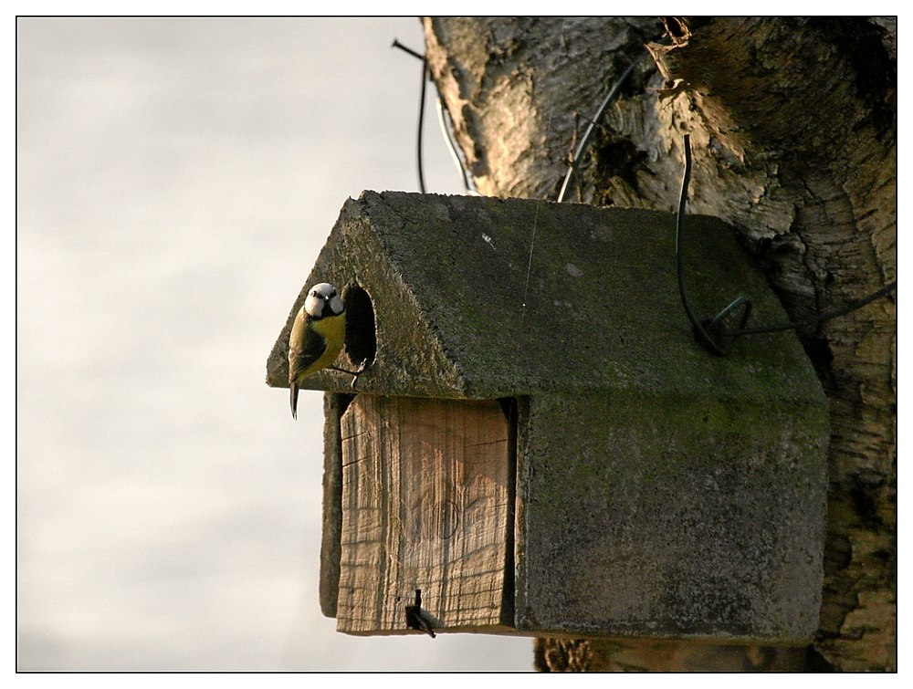 Haus ist gefunden . . .