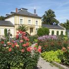 Haus 'Leonhardsbrunn' im Frankfurter Palmengarten mit Dahlien (links 'Sandia Comanche')