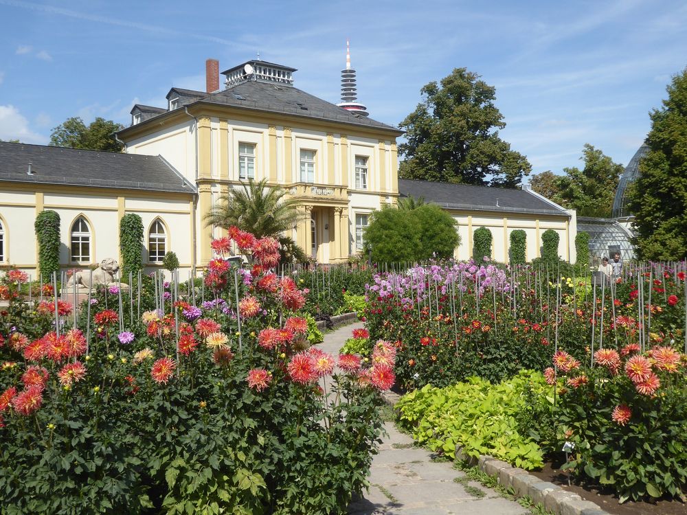 Haus 'Leonhardsbrunn' im Frankfurter Palmengarten mit Dahlien (links 'Sandia Comanche')