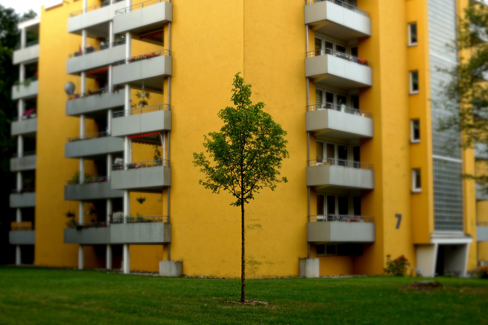 Haus mit Baum