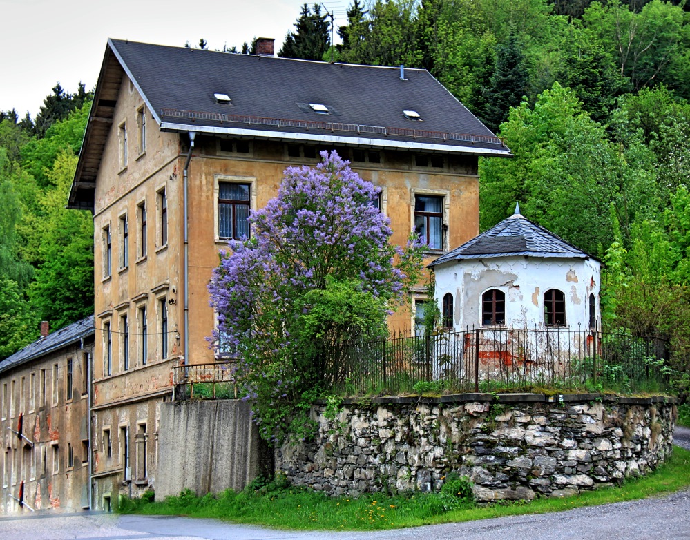 Haus mit Fliederbaum