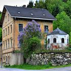 Haus mit Fliederbaum