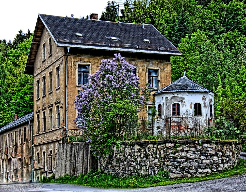 Haus mit Fliederbaum, HDR strong