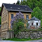 Haus mit Fliederbaum, HDR strong