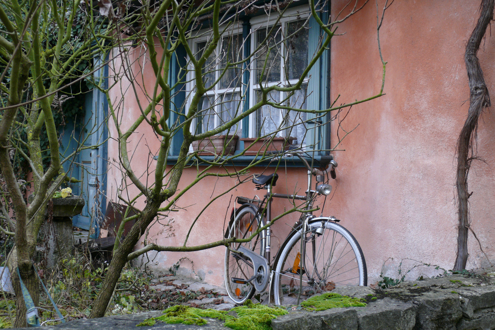 Haus mit Garten