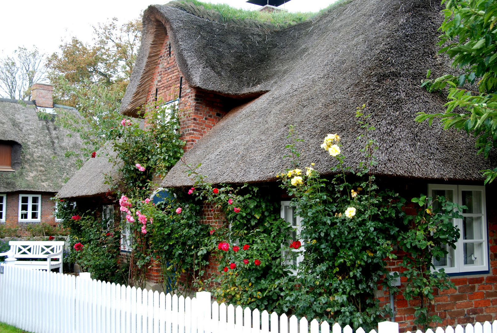 Haus mit Garten Foto & Bild deutschland, europe, schleswig holstein