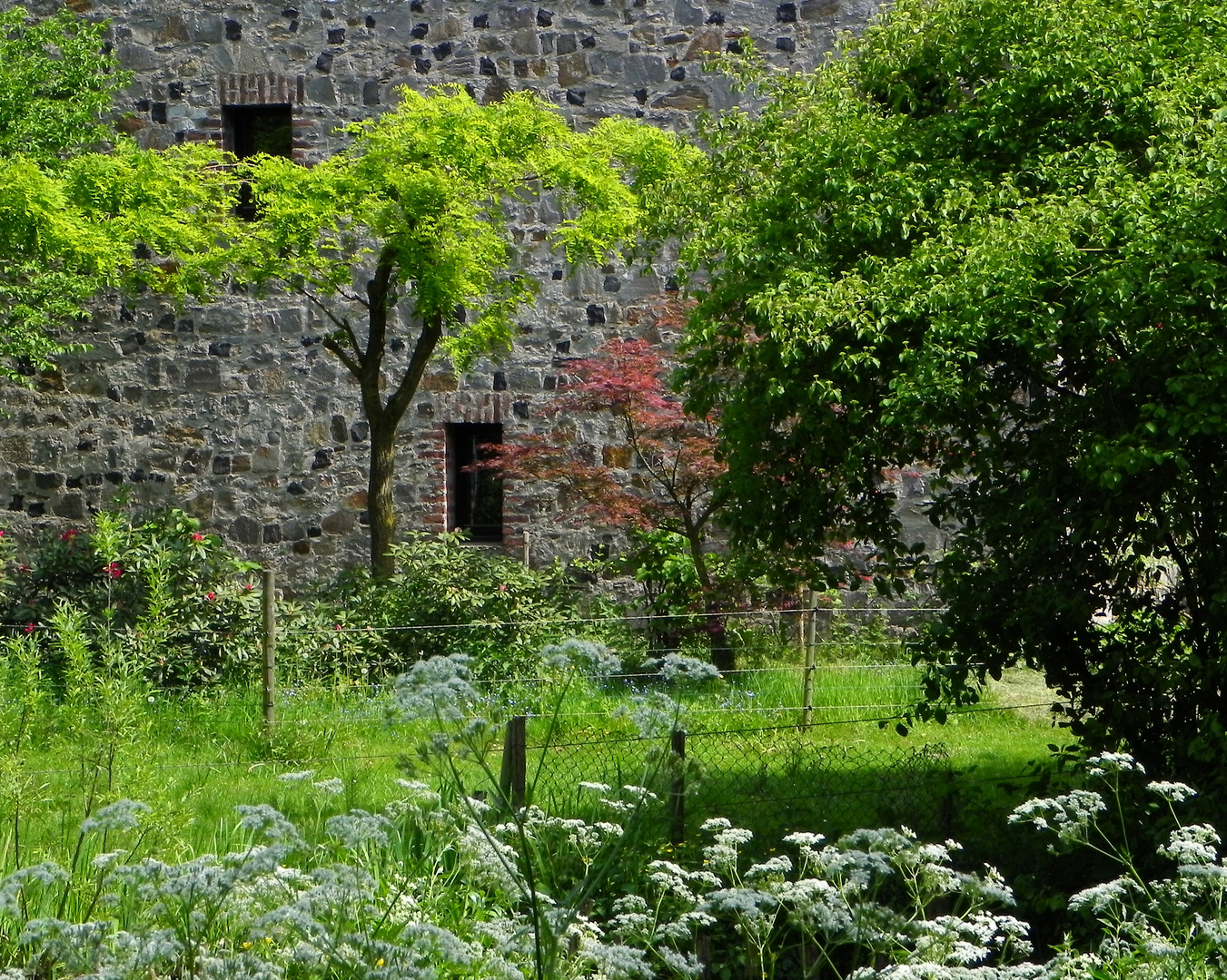 Haus mit Garten