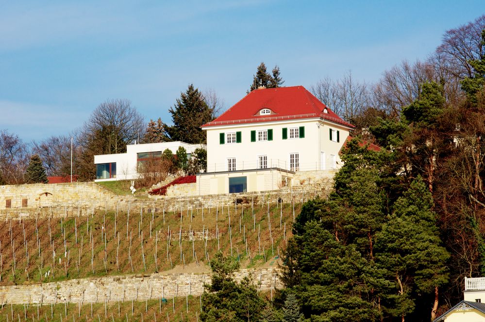 Haus mit historischem Weinberg über der Elbe