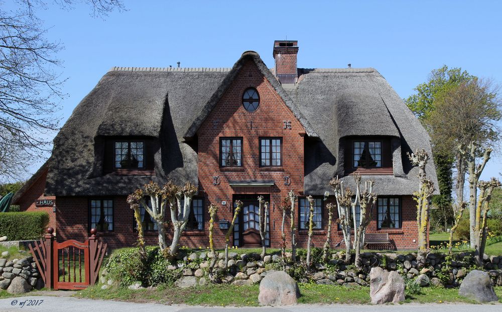 Haus mit Reed Foto & Bild landschaft, sylt, garten