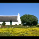 Haus mit Reetdach am "most southern point"