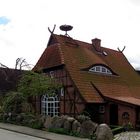 Haus mit Storchennest