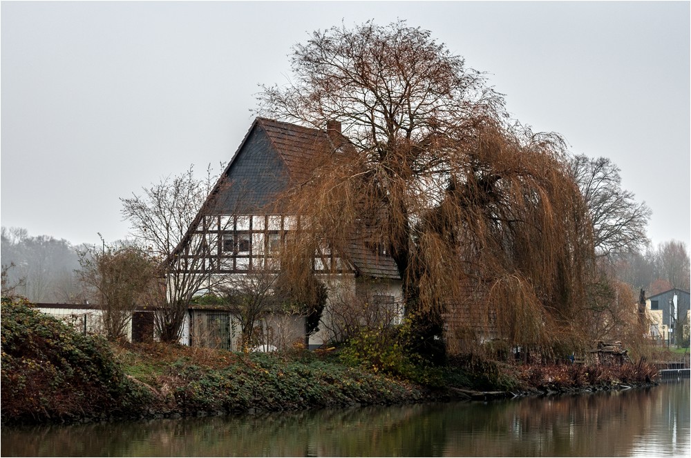 Haus mit Trauerweide ...