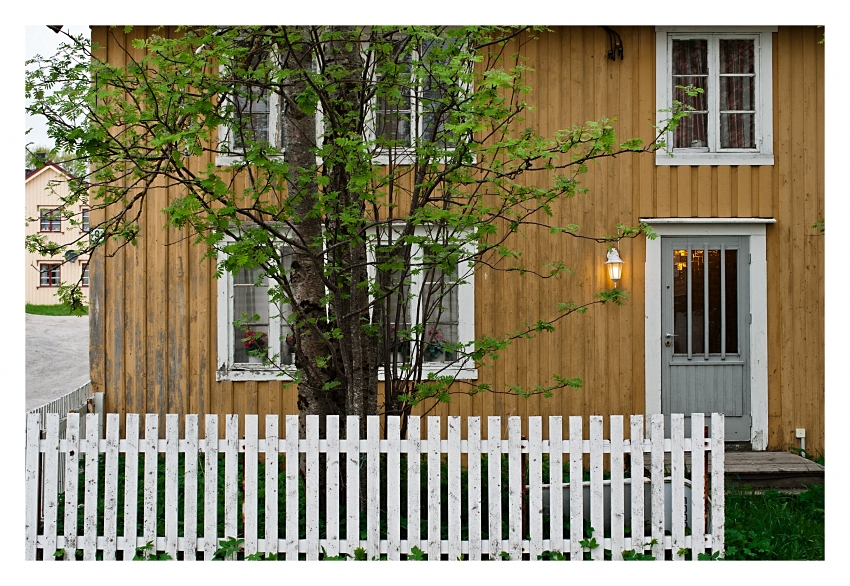 Haus mit Zaun und Baum