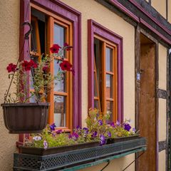 Haus-Nr. 31 - Quedlinburg/Harz