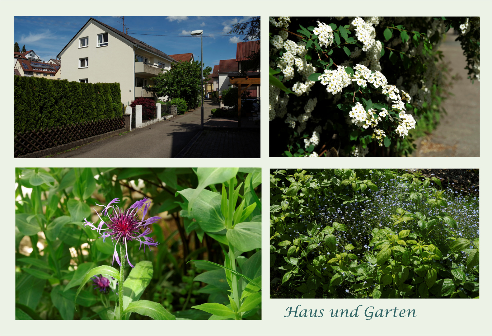 ...Haus und Garten 