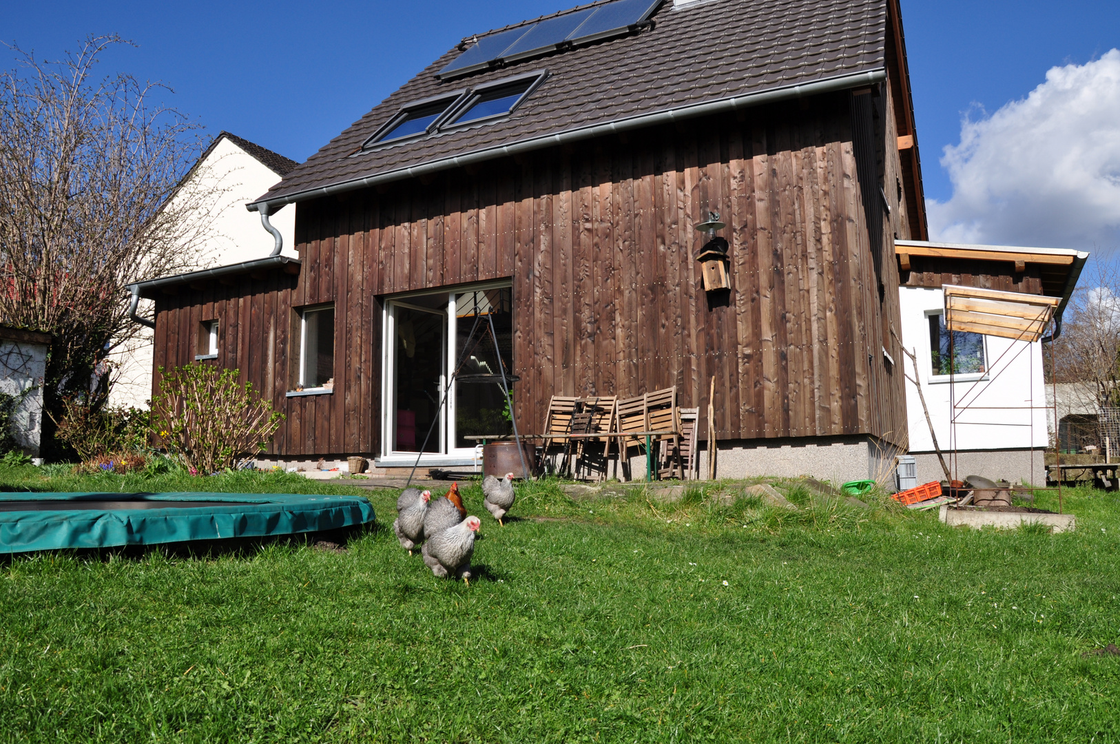 Haus und Huhn 2